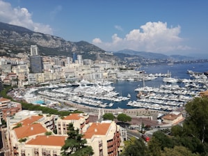 aerial view of city buildings near body of water during daytime