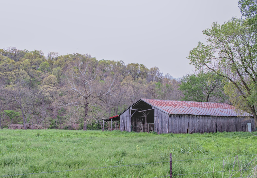 brown wooden house on green grass field