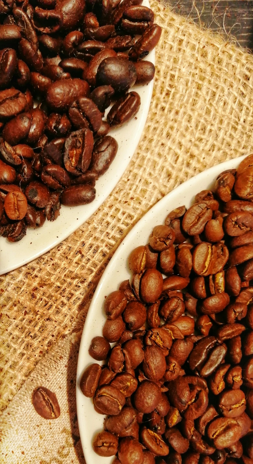 brown coffee beans on white ceramic plate