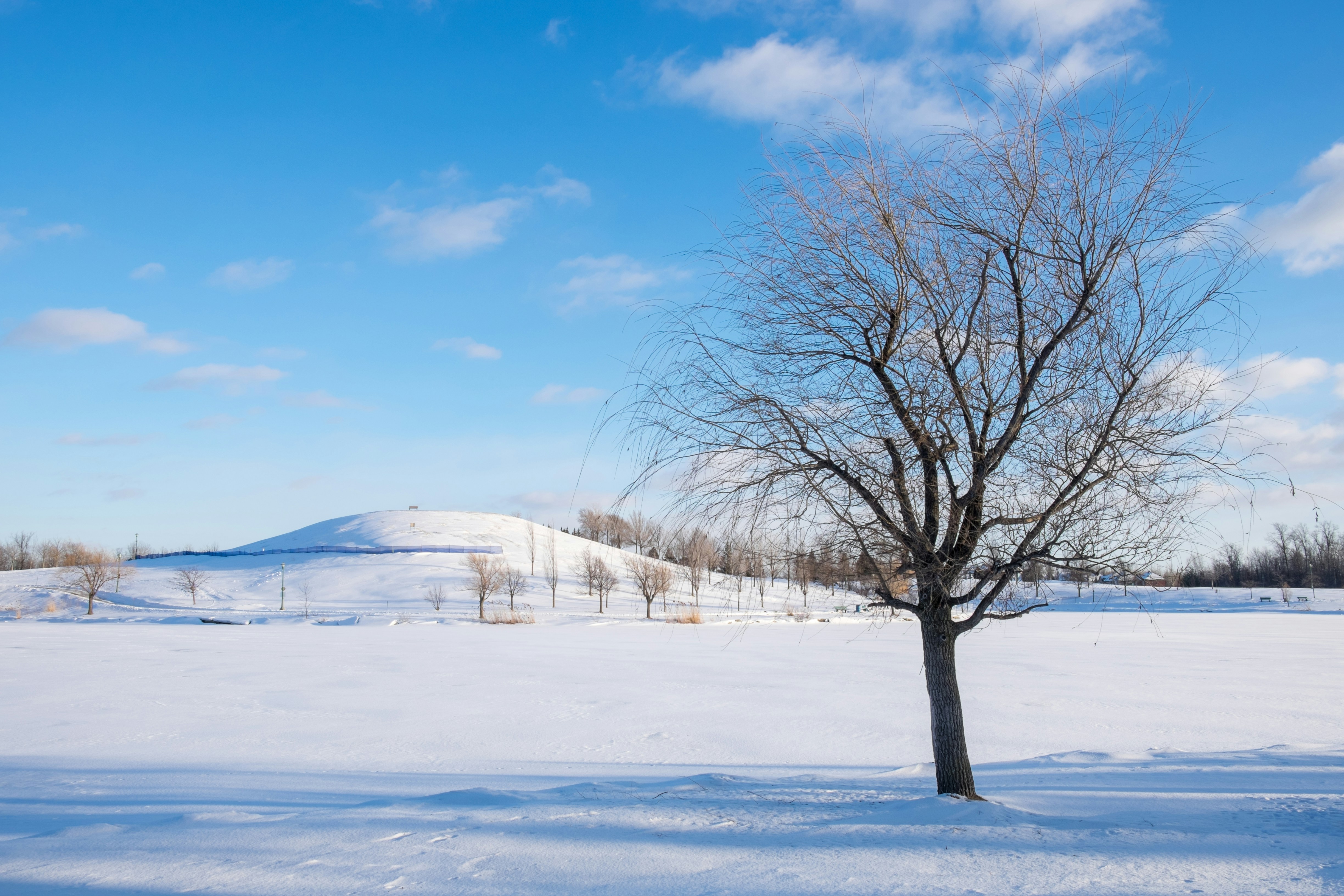 Photo by pierrejarry