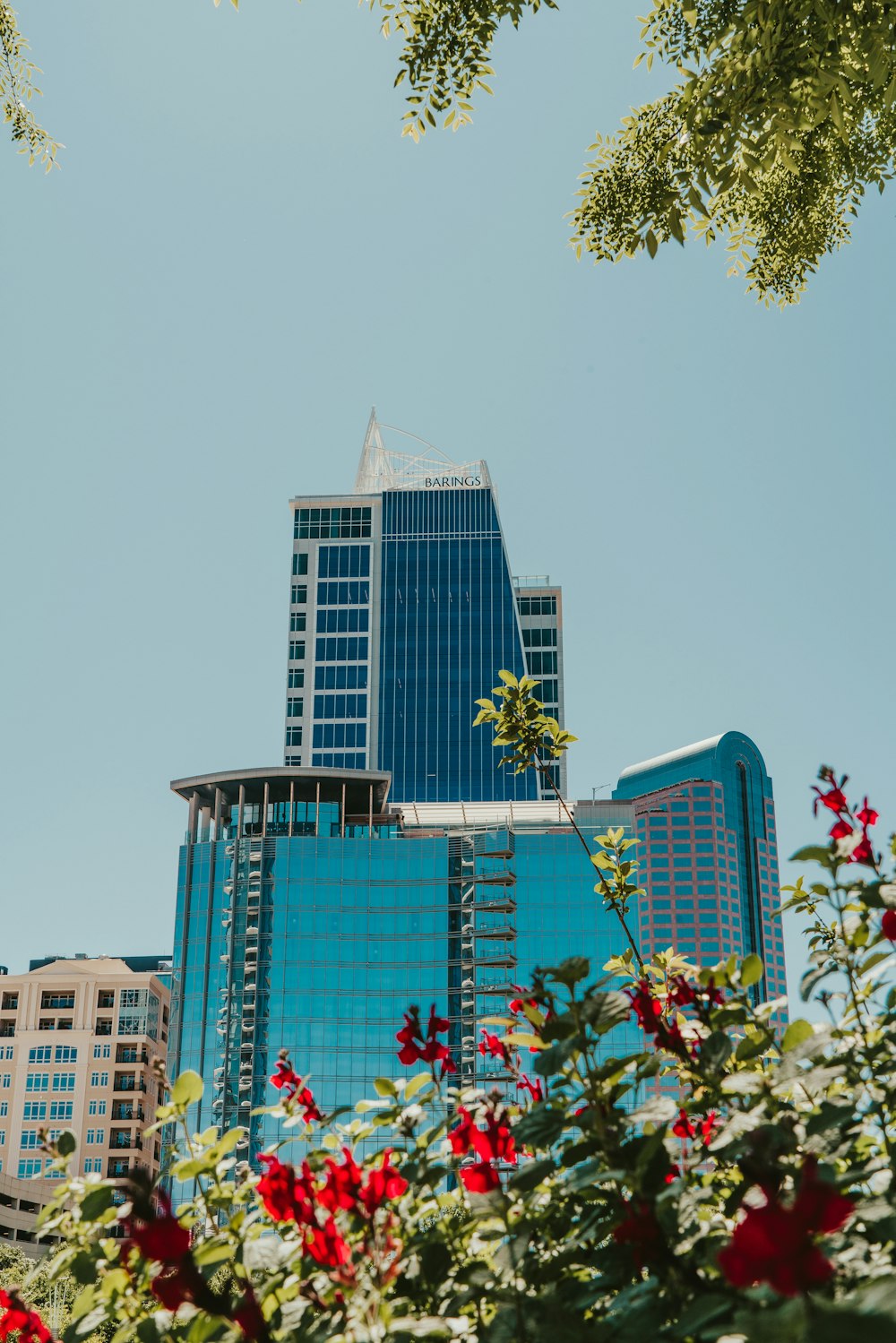 blue and white concrete building