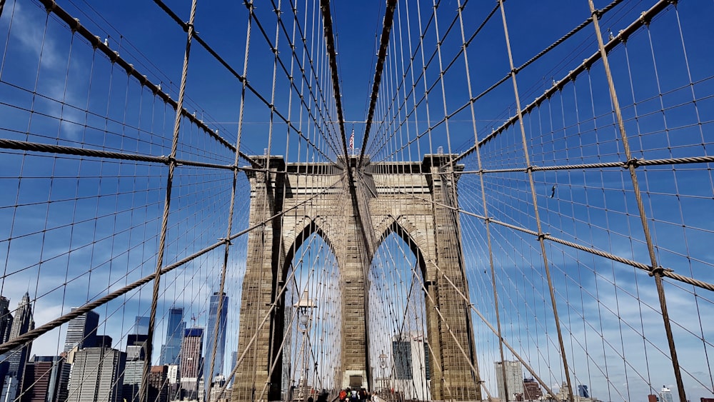 brown and blue bridge under blue sky during daytime