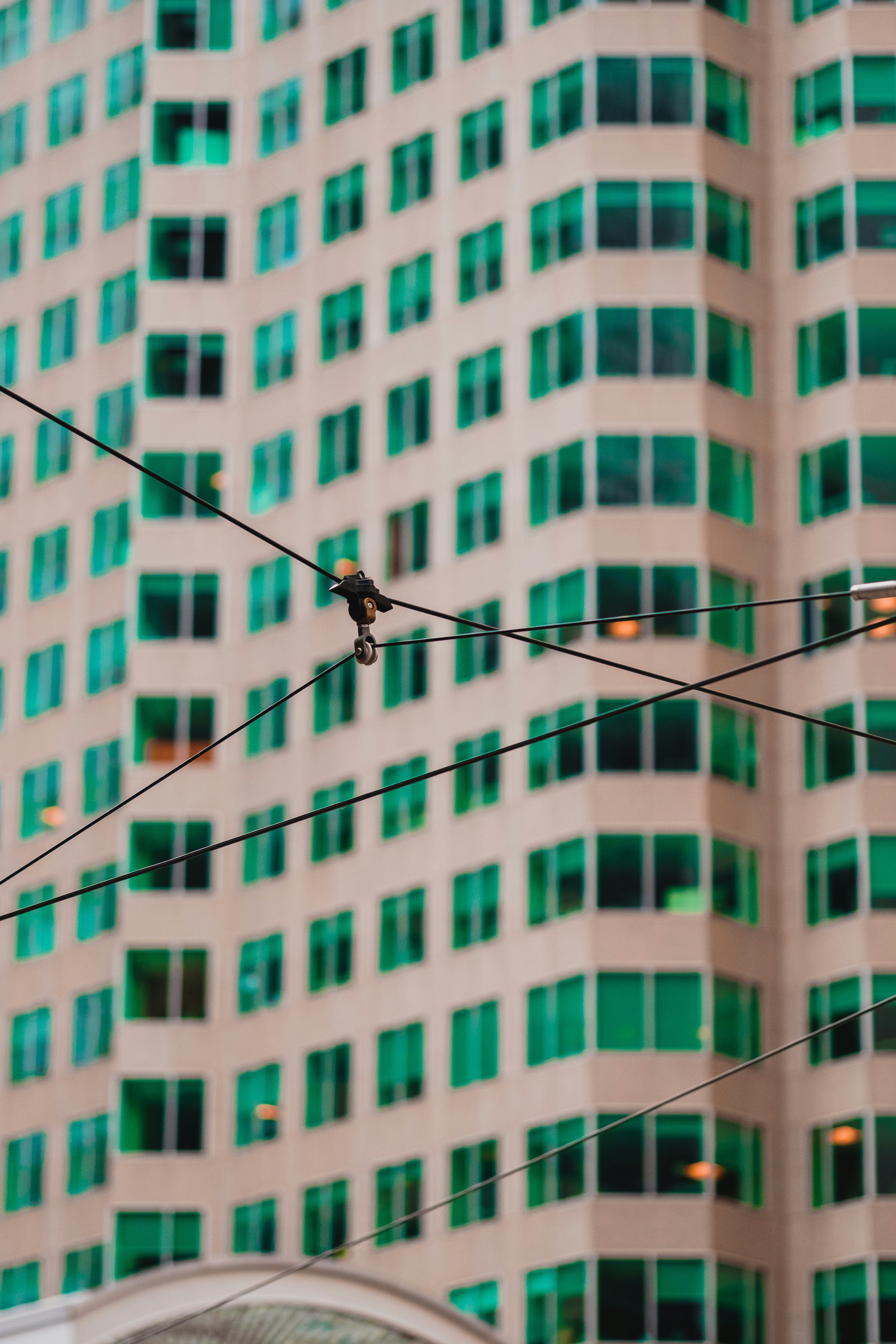 Black and white fishing rod photo – Free Canada Image on Unsplash