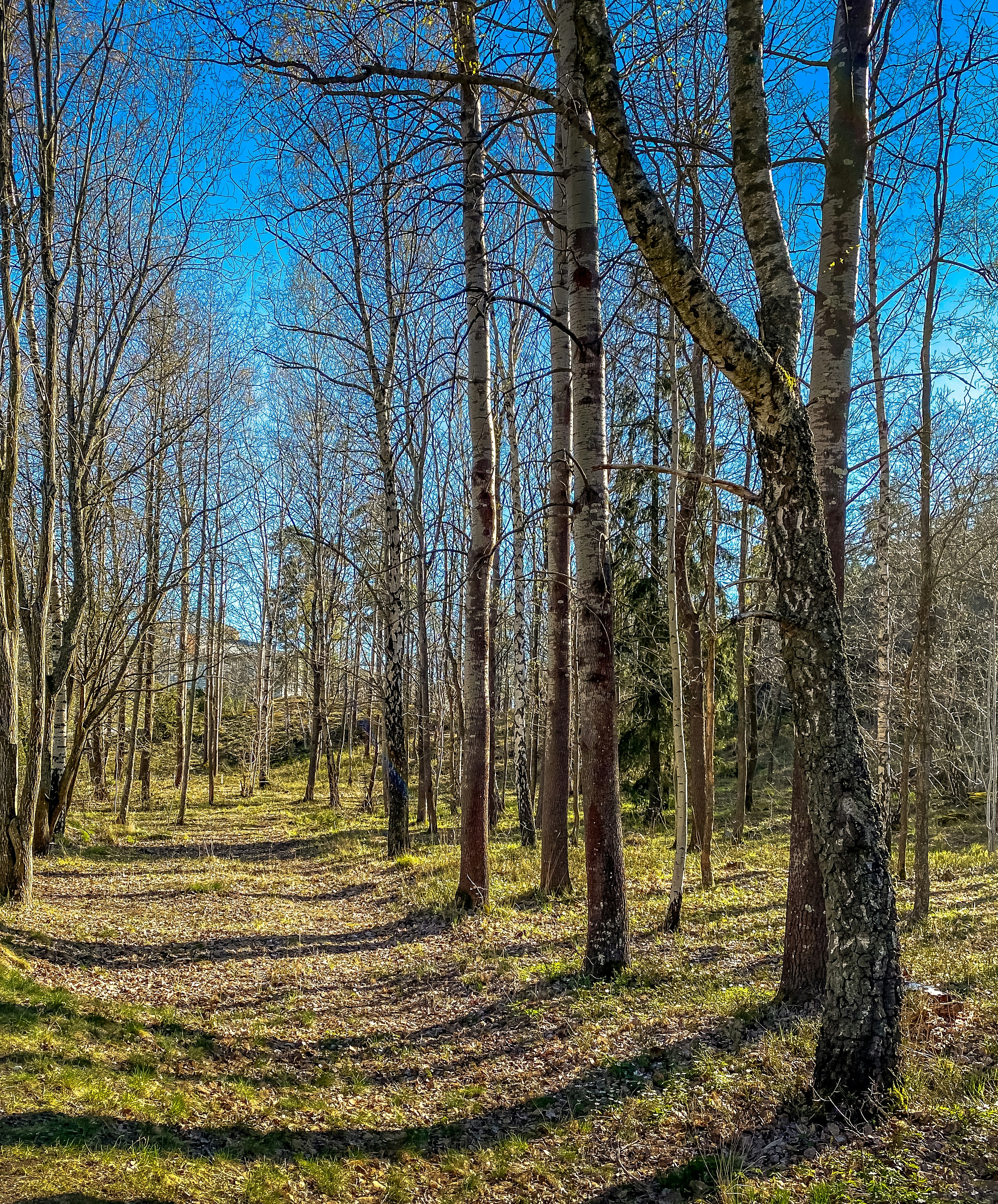 Photo by nextvoyage_pl