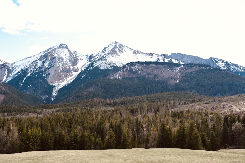 snow covered mountain during daytime