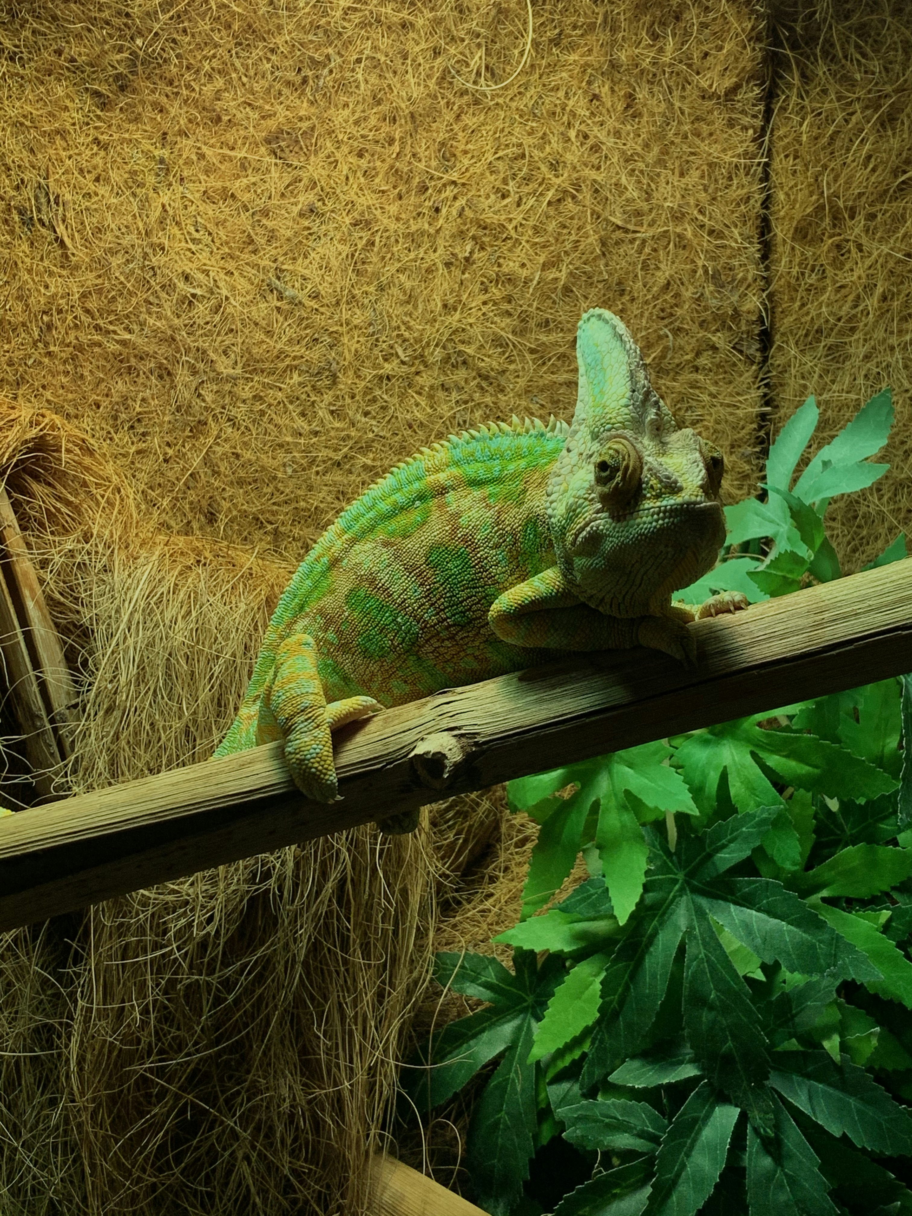 The Shocking Discovery That Changed Everything (image credits: unsplash)