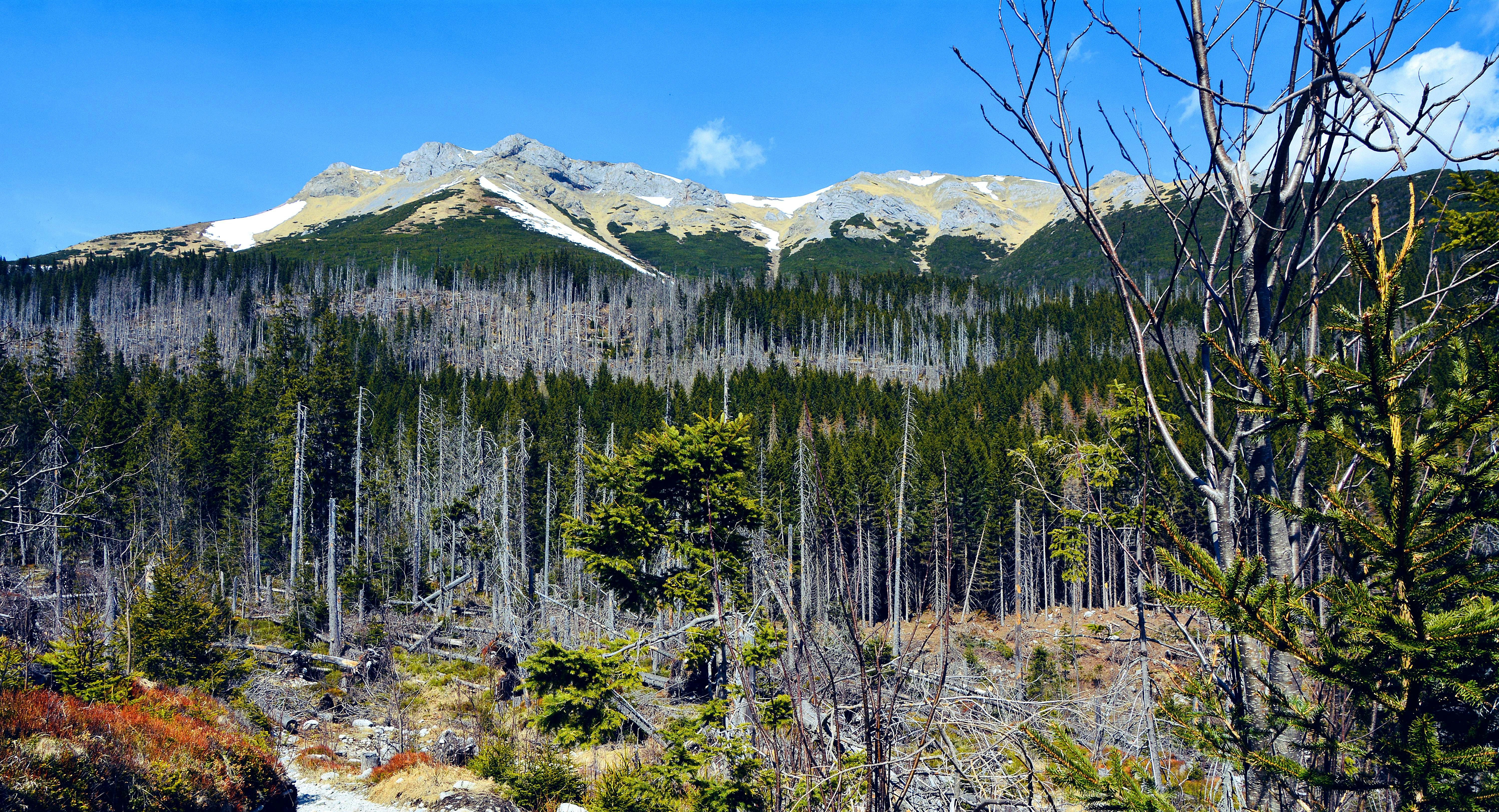 Slovak Prime Minister Escalates Feud with Ukrainian President