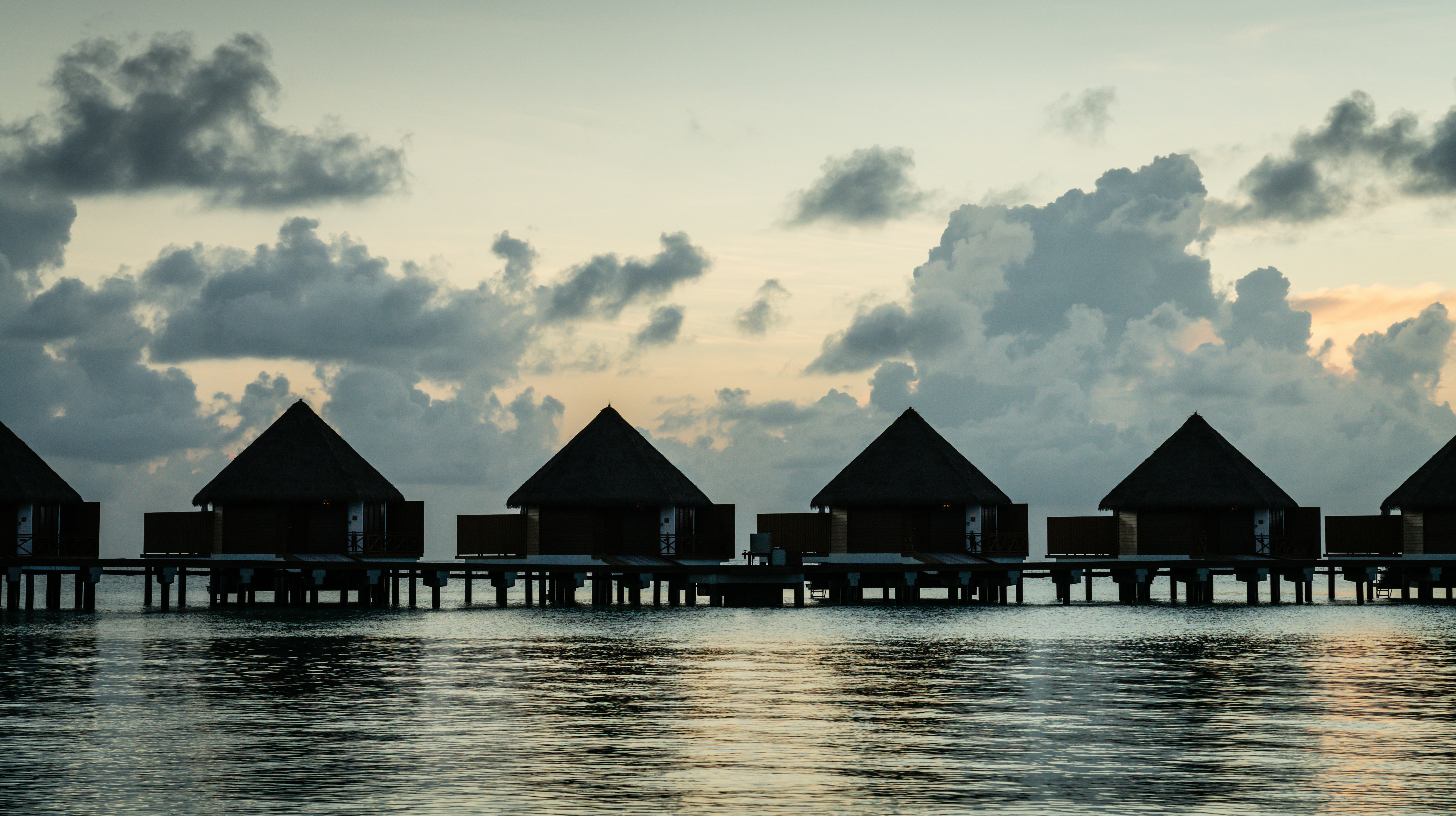 Photo by picturecorrect