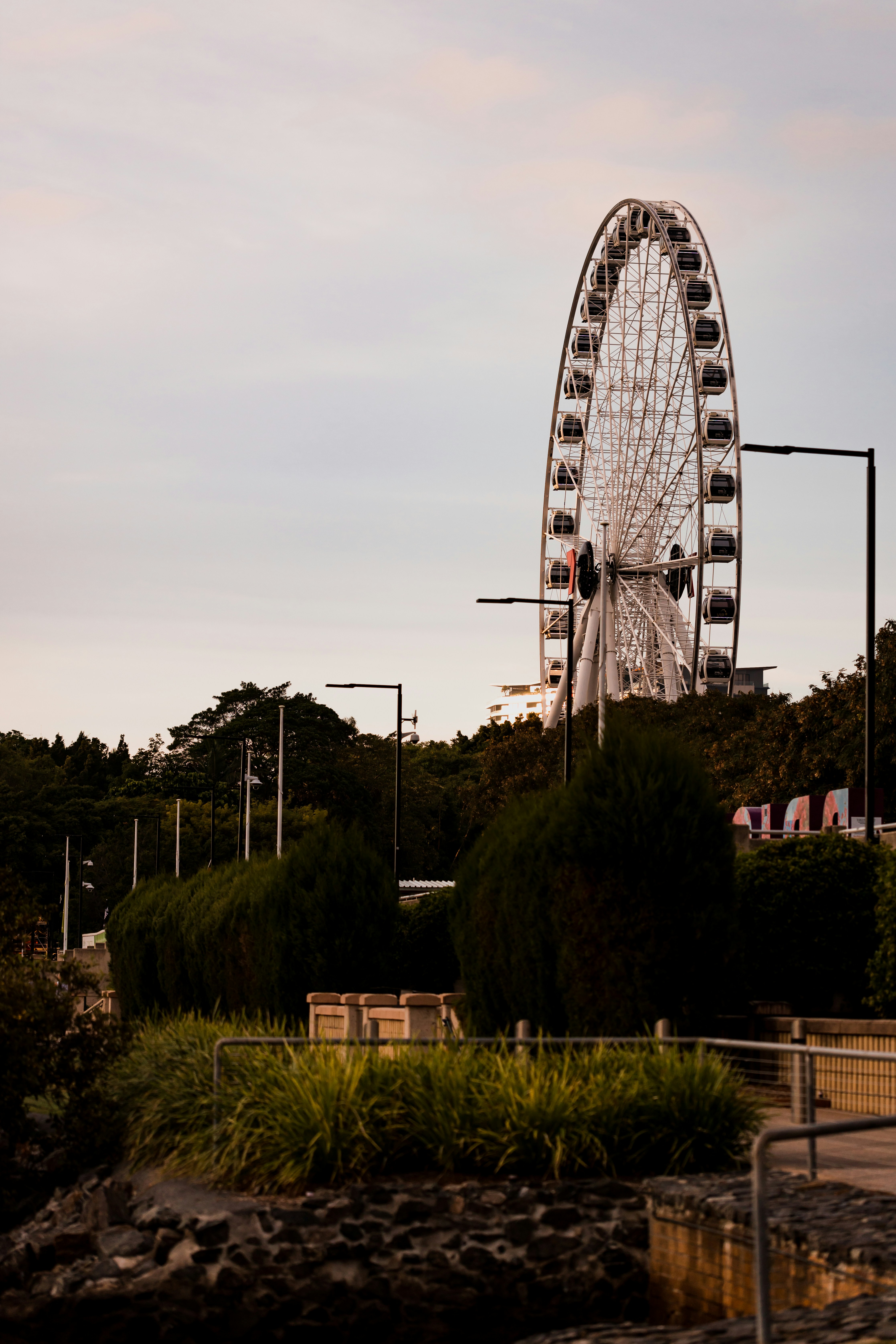 white and red ferris wheel