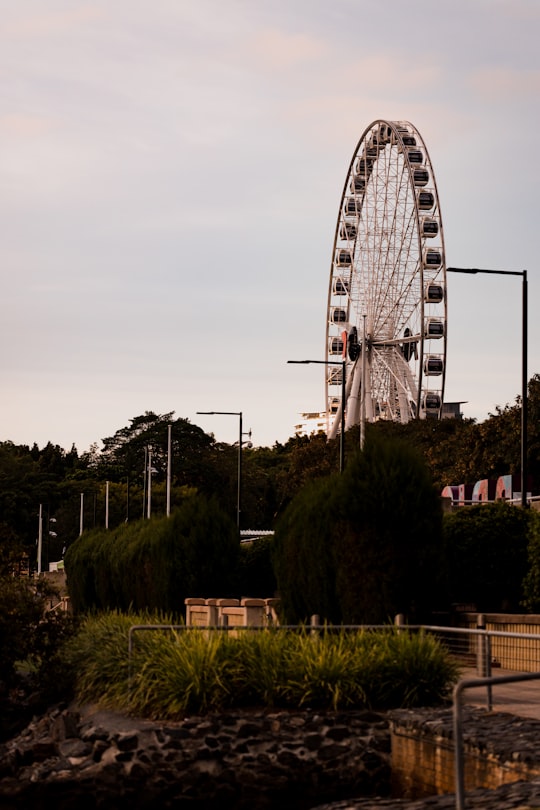 white and red ferris wheel in Brisbane QLD Australia