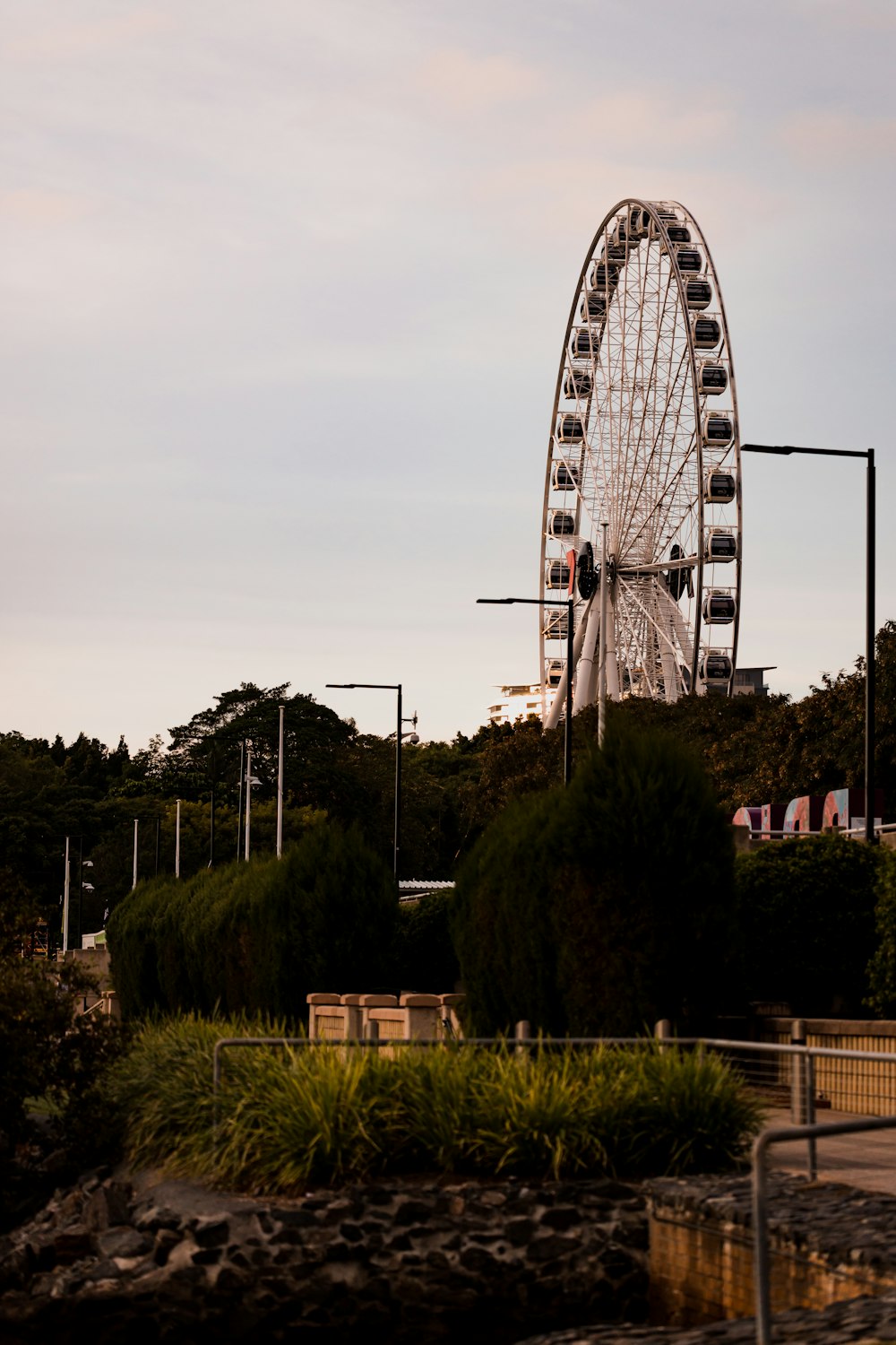 white and red ferris wheel