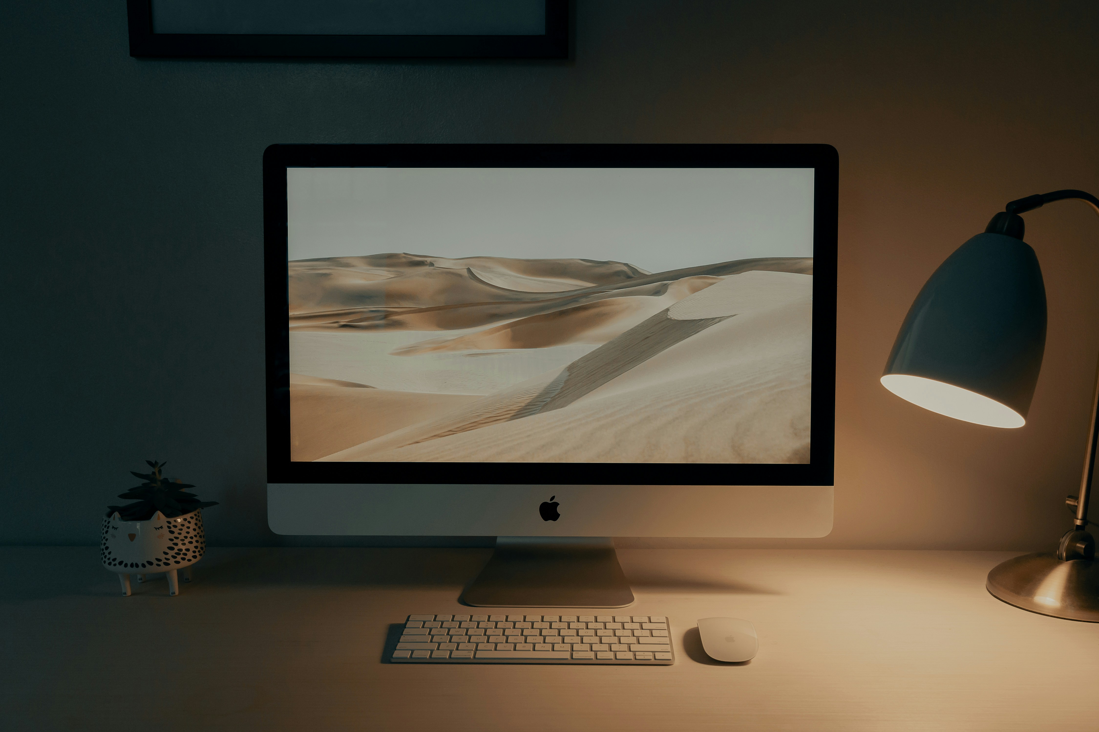 computer screens 4