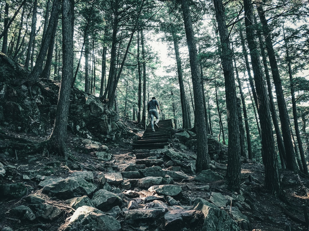 Forest photo spot Sentier Mont King Murphys Point Provincial Park