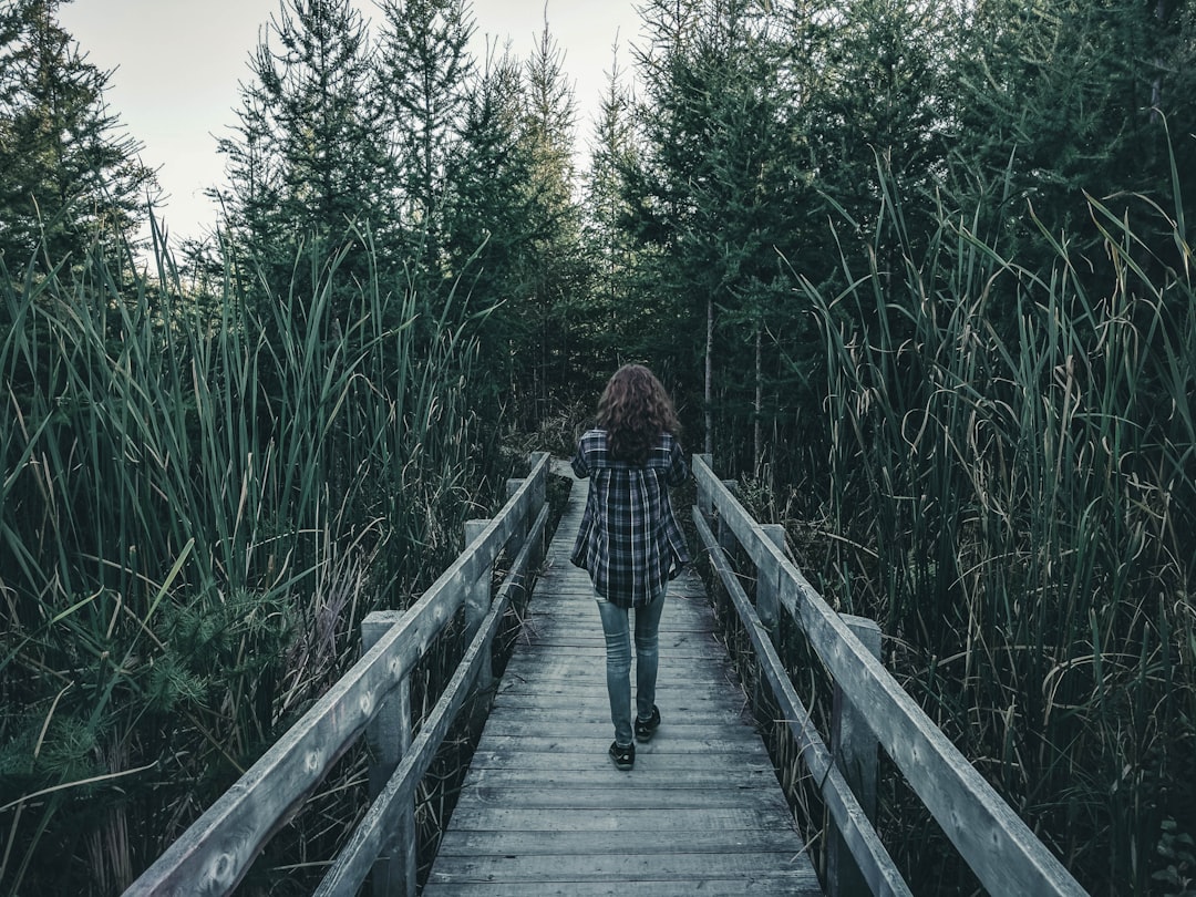 Rope bridge photo spot Mer Bleue Bog Trail Canada