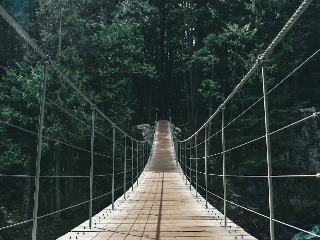 Suspension bridge photo spot Cheakamus River Canada