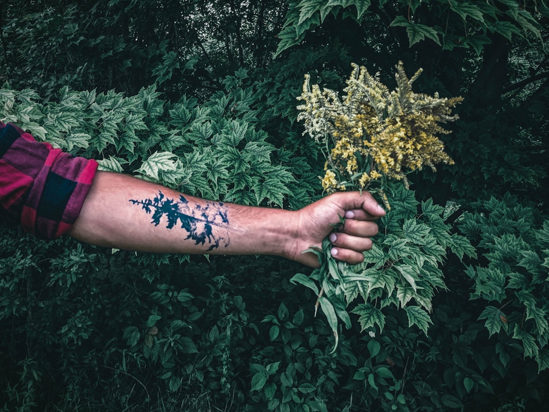 person holding yellow flower during daytime