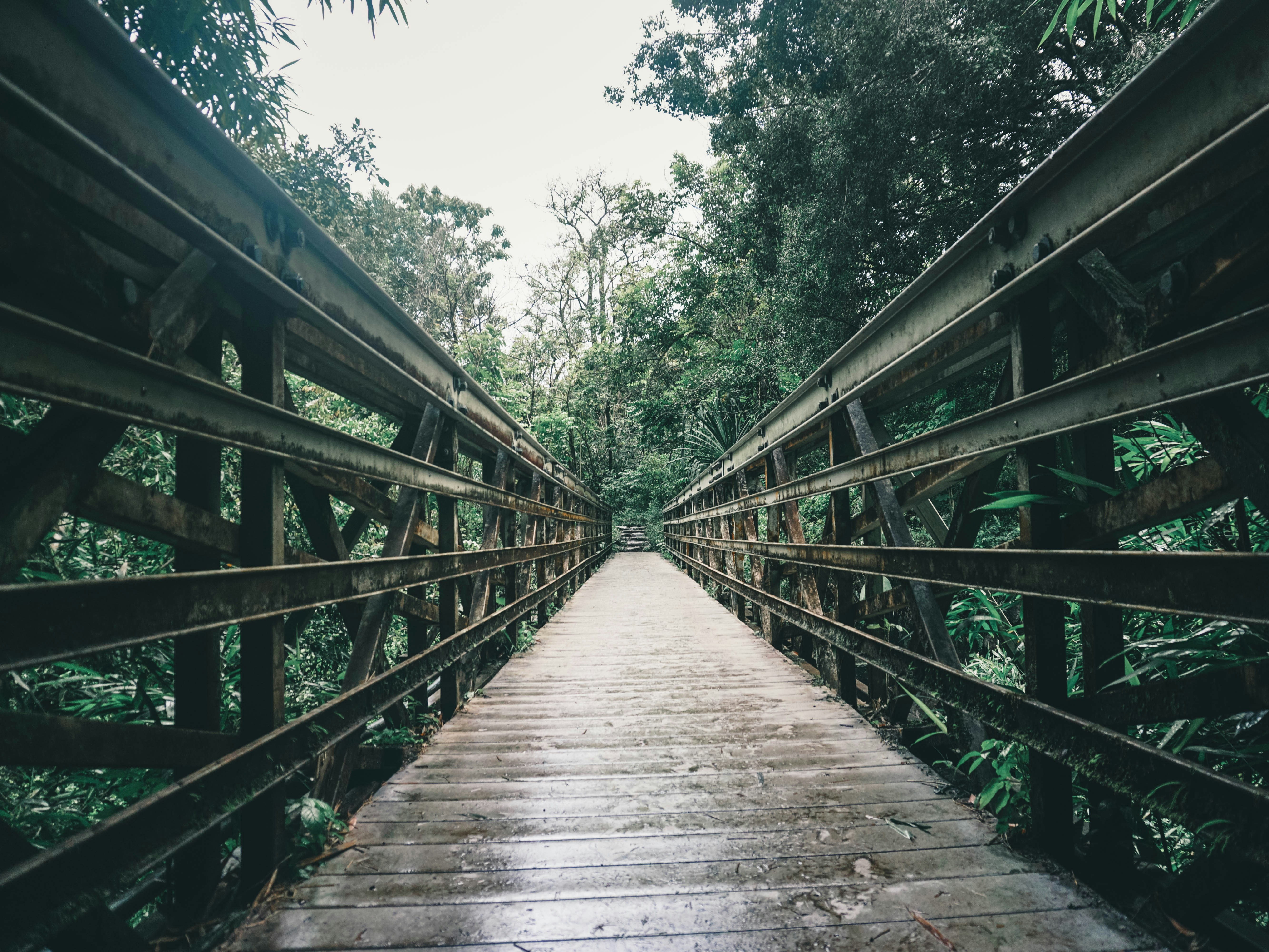 Photo by lureofadventure