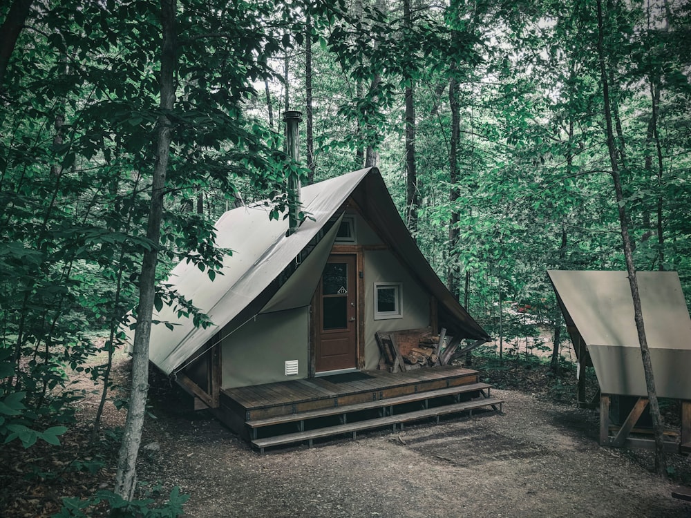 brown wooden house in the middle of forest during daytime