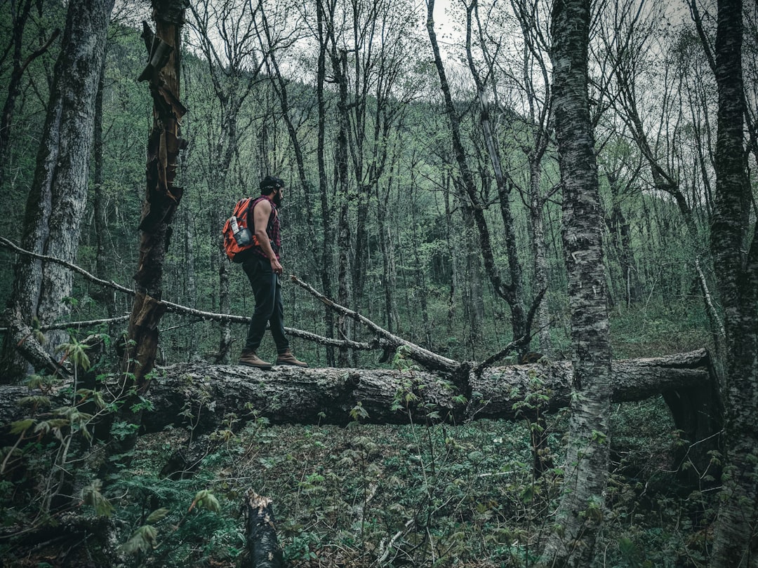 man in red t-shirt and black pants standing on brown tree log during daytime