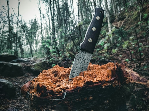 A knife with an intricately patterned blade is embedded in the center of a tree stump in a forest setting. The forest is dense with tall trees and a variety of green foliage, creating a natural backdrop. The knife handle is dark with metallic accents.