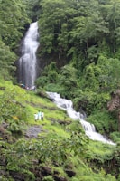 A lush, green landscape featuring a tall, cascading waterfall surrounded by dense forest. People are standing near the water, creating a sense of scale. The scene is vibrant with plant life and shows the natural beauty and tranquility of the area.
