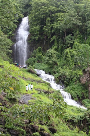 A lush, green landscape featuring a tall, cascading waterfall surrounded by dense forest. People are standing near the water, creating a sense of scale. The scene is vibrant with plant life and shows the natural beauty and tranquility of the area.