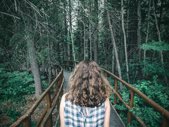 woman in blue and white plaid dress walking on wooden bridge in Parc national d'Aiguebelle Canada