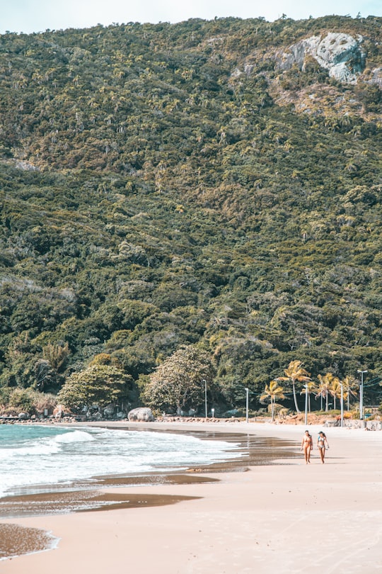 people walking on beach during daytime in Florianópolis Brasil