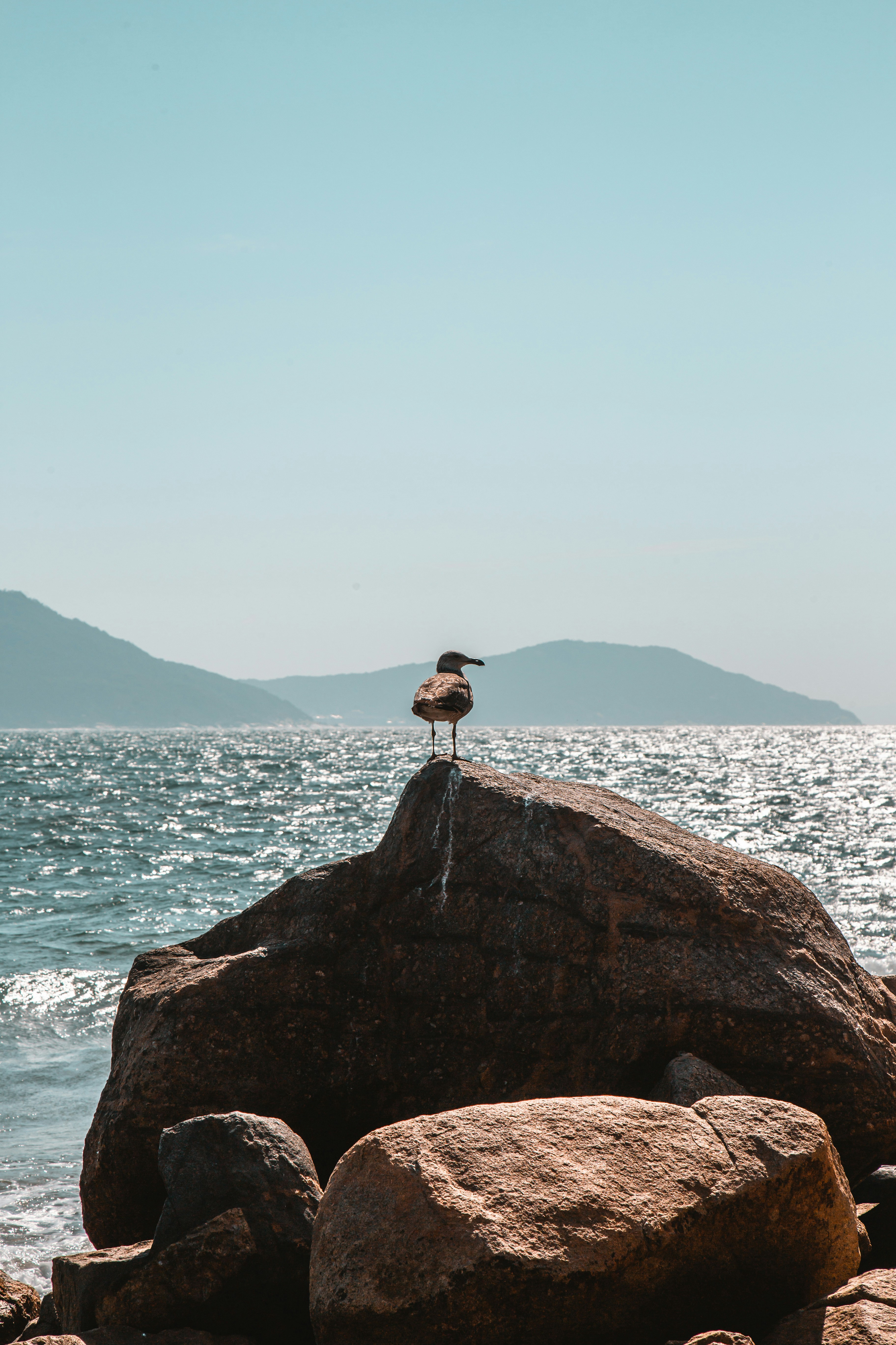 Photo by analiaferrario