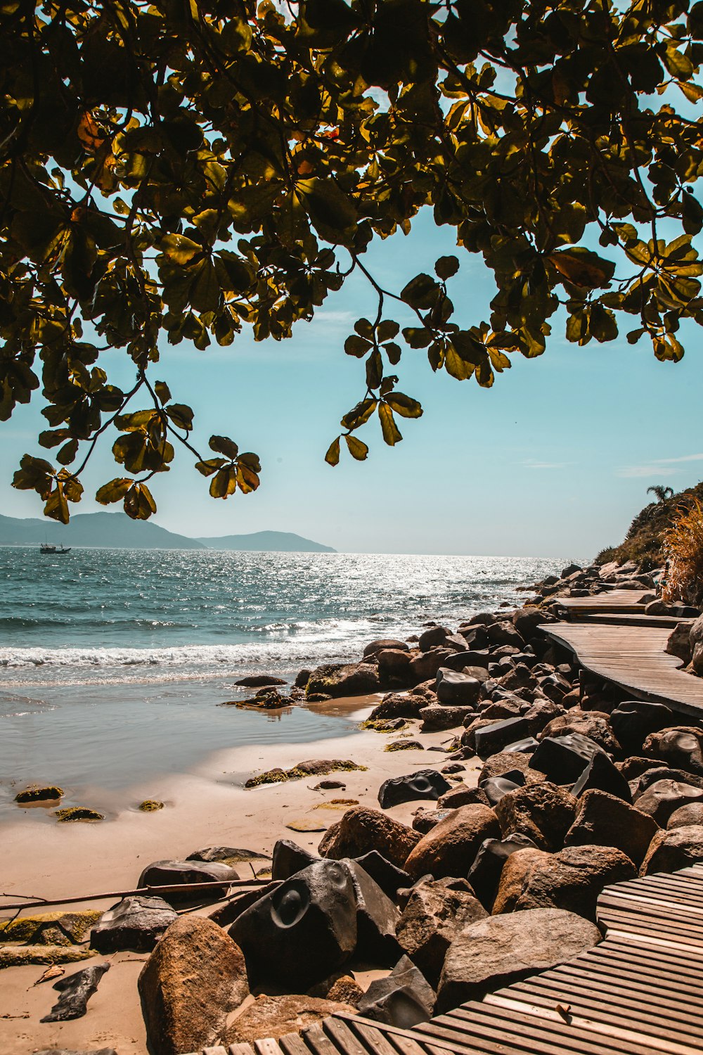 brown rocks on seashore during daytime