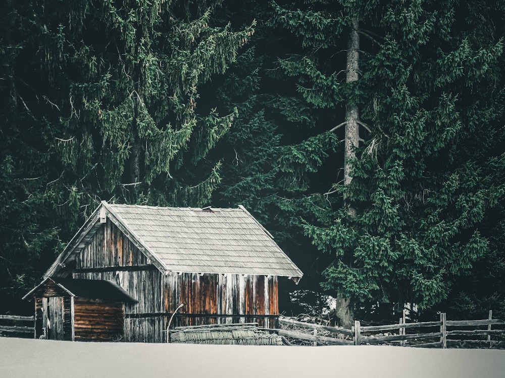 brown wooden house near green trees during daytime