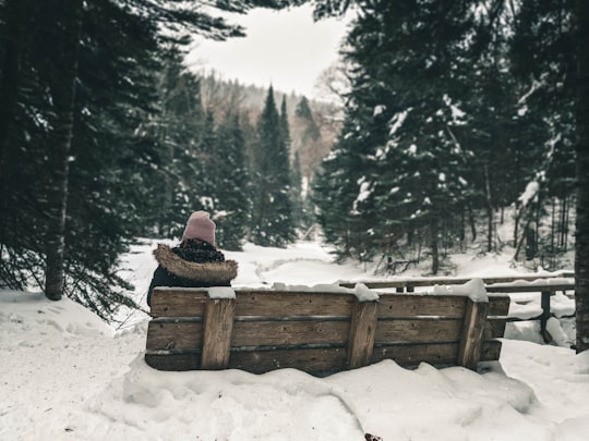 person in brown jacket sitting on brown wooden bench on snow covered ground during daytime in Mont-Tremblant National Park Canada