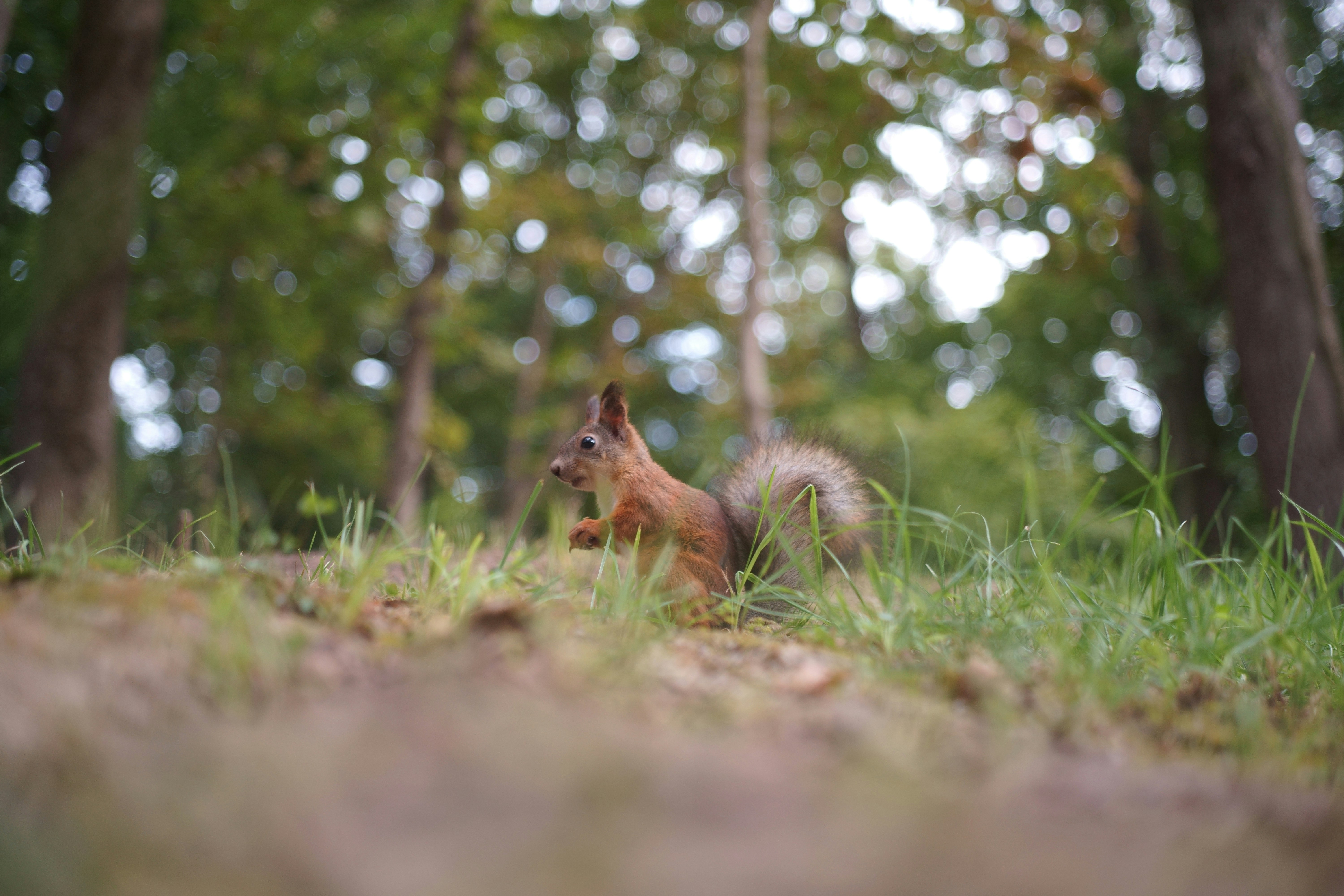 Photo by ivan_bolshakov