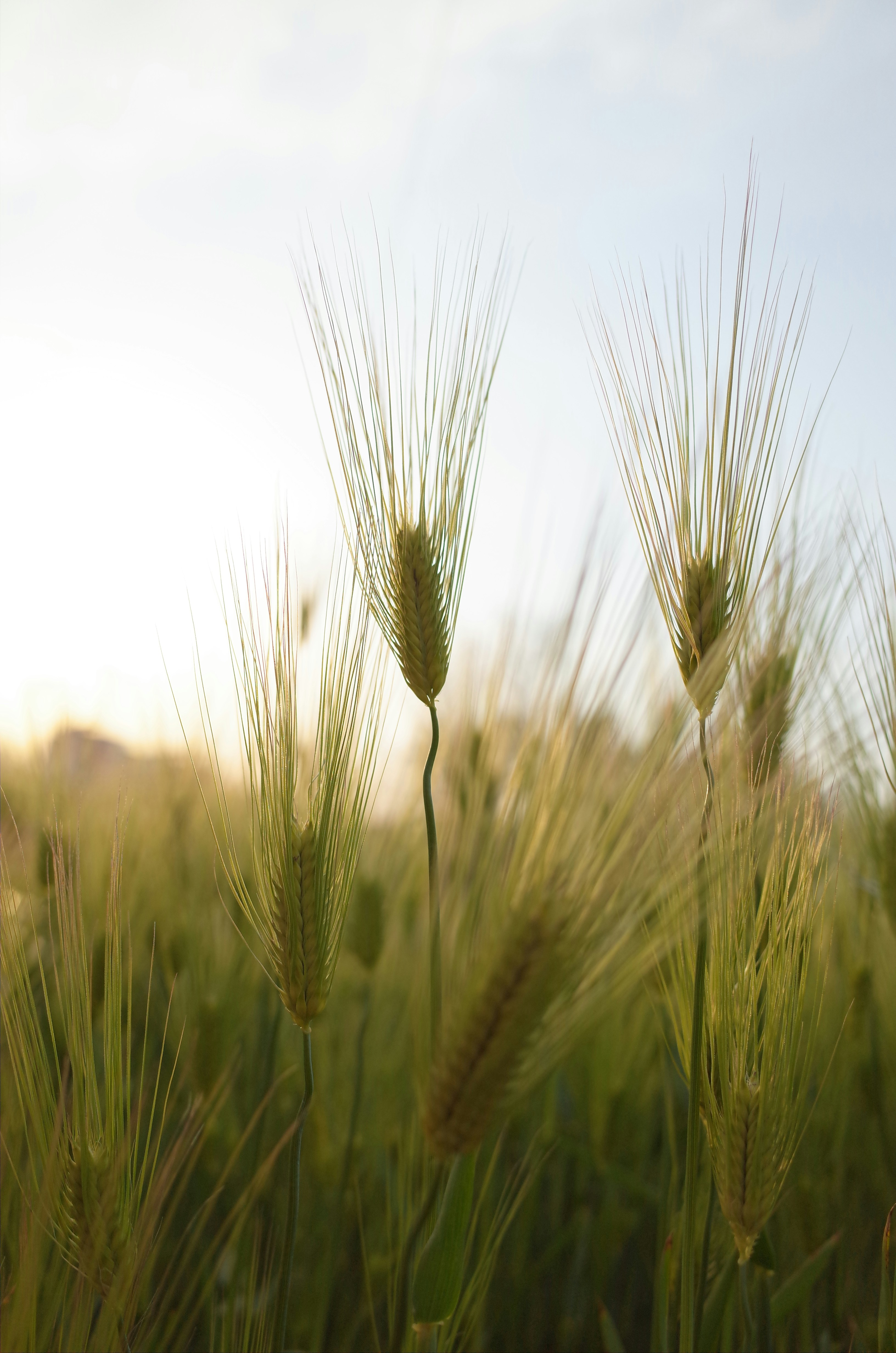 Photo by haibxidncuvsy