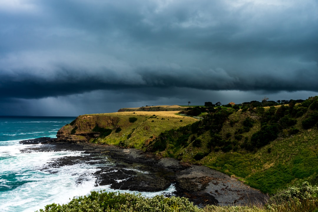 Shore photo spot Blowhole Track Mornington VIC