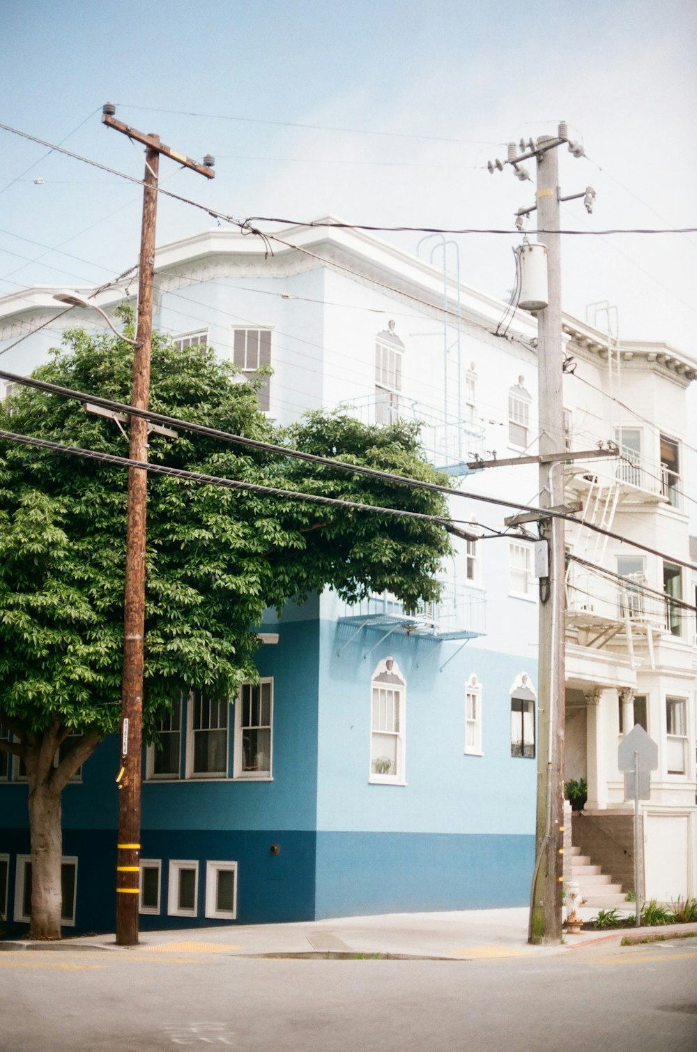 blue and white concrete building