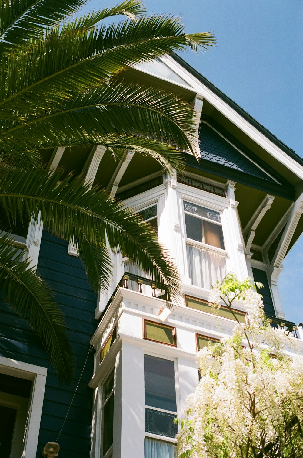 green palm tree beside white concrete building