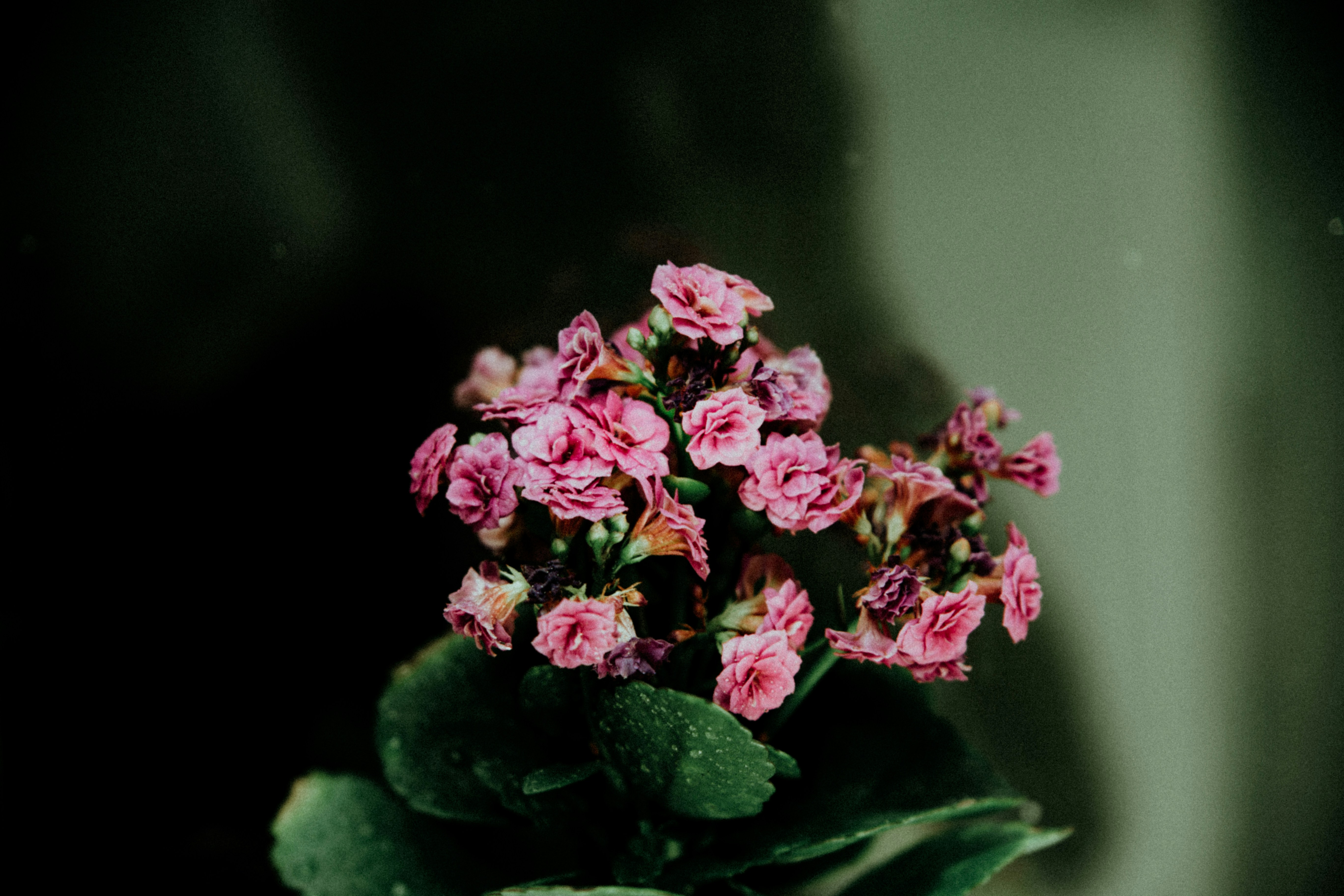 Photo by vkings