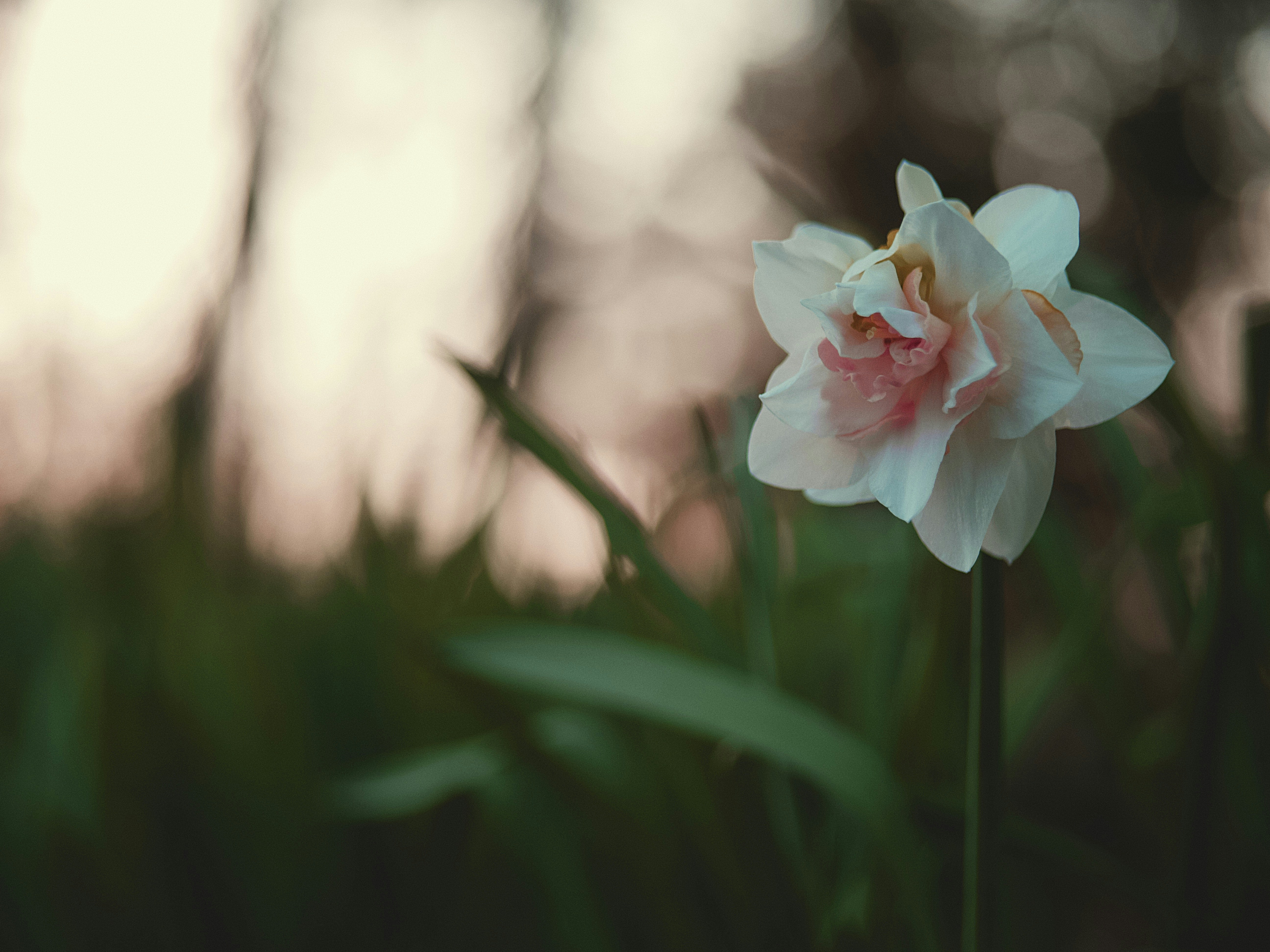 Photo by aaronburden