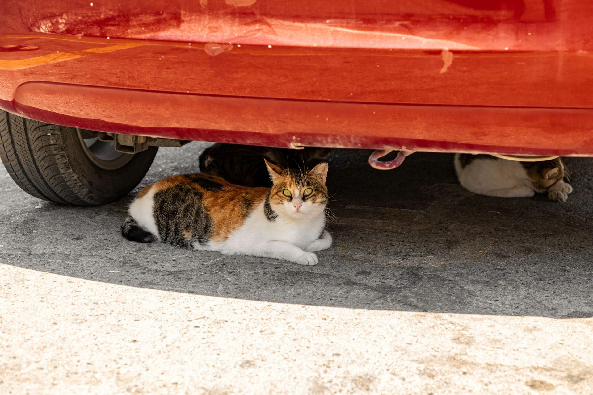 Undercarriage Services to Check Regularly