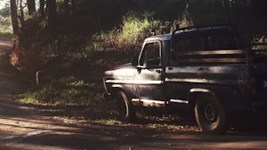 Tough Utility Truck