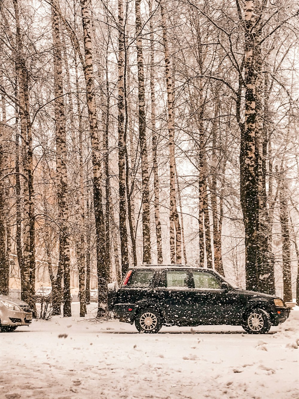 Schwarzer SUV auf schneebedeckter Straße zwischen kahlen Bäumen tagsüber
