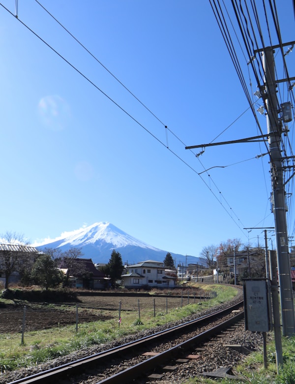 Exploring Shizuoka: A Traveler's Guide