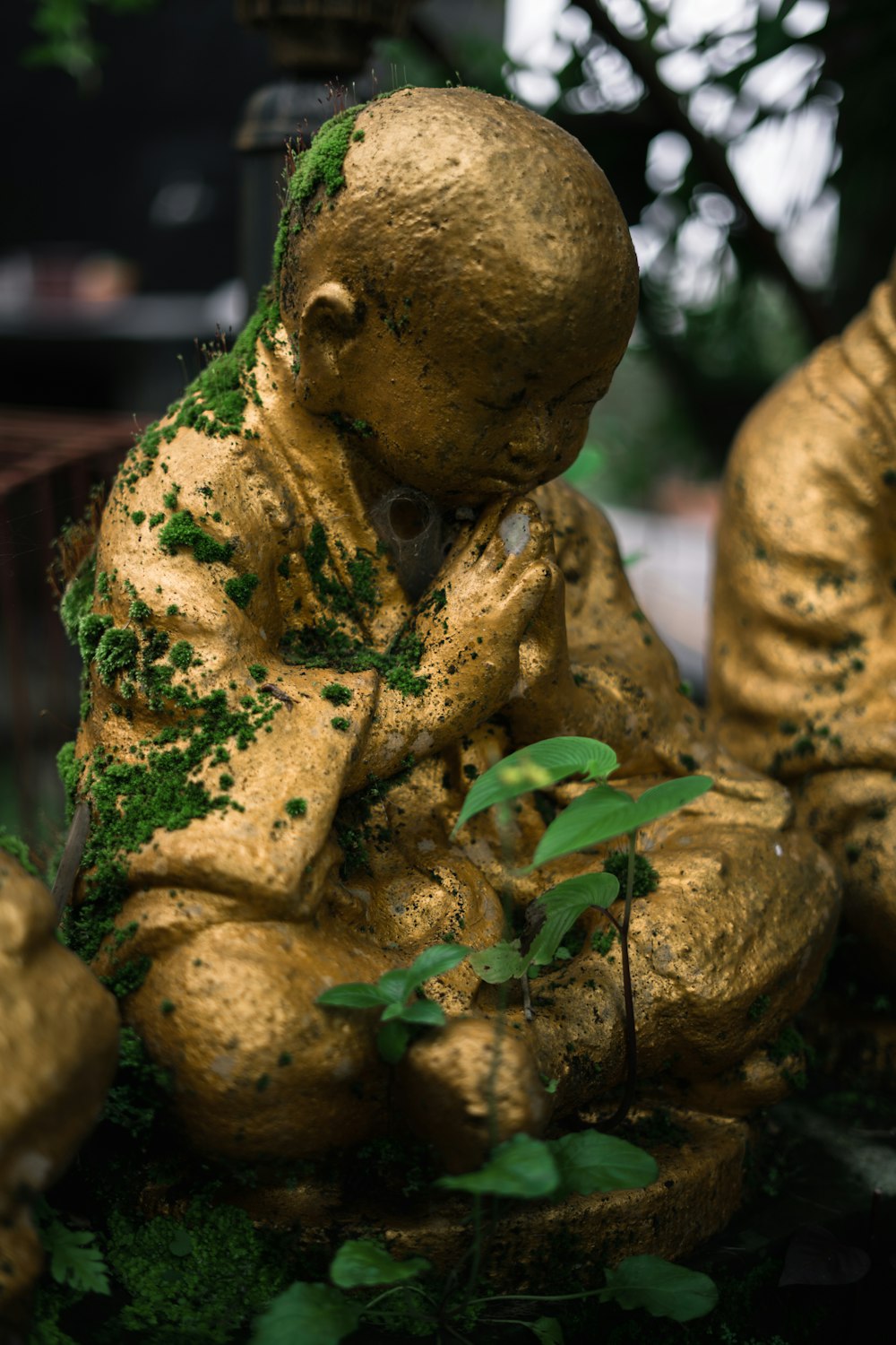 Braune und grüne Froschfigur