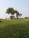 A happy family enjoying their lush green lawn.