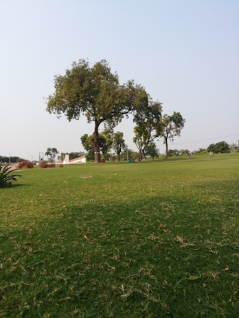 A family enjoying a sunny day on a clean, low-maintenance artificial grass lawn.