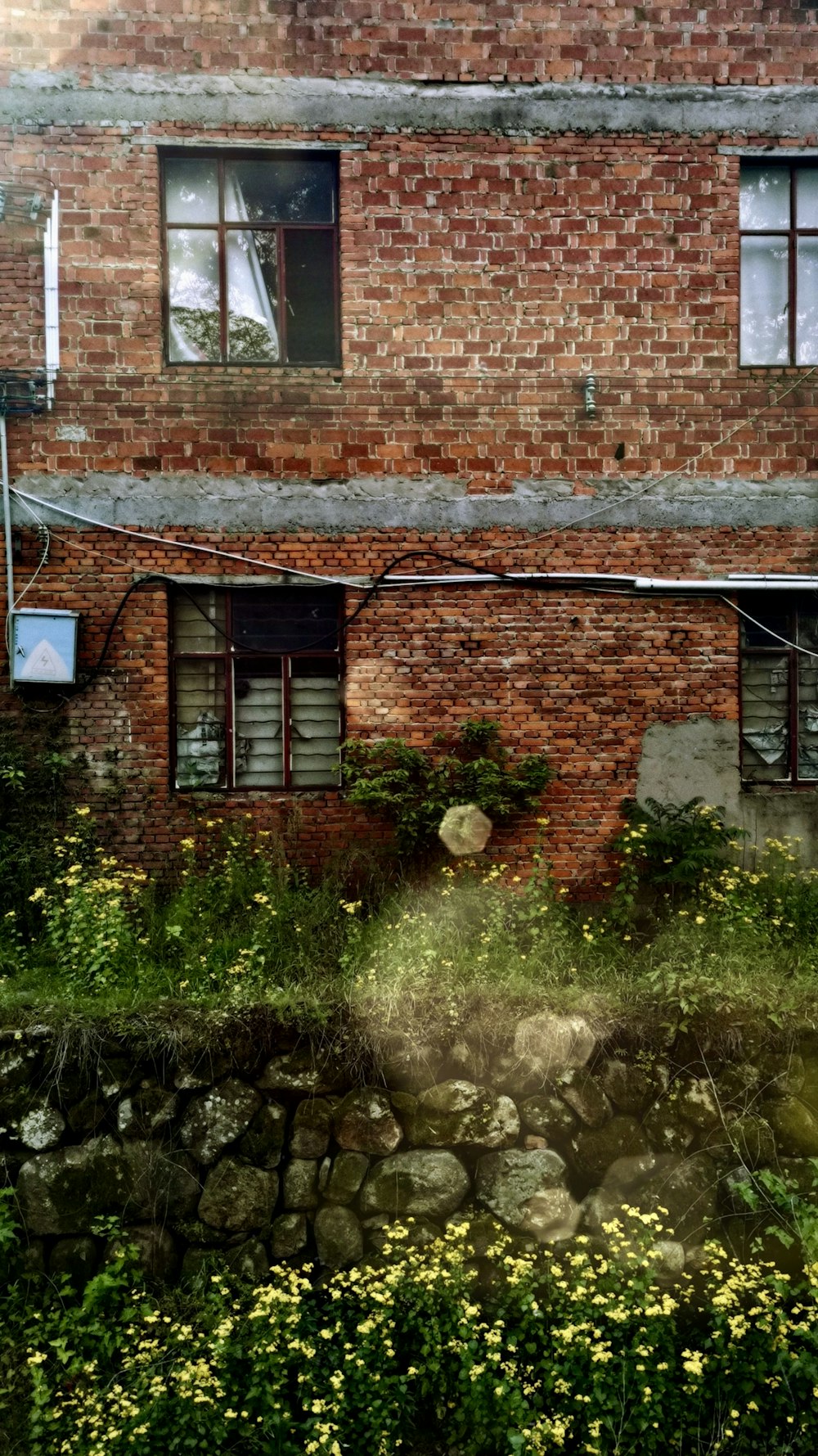 brown brick building with green grass and green plants