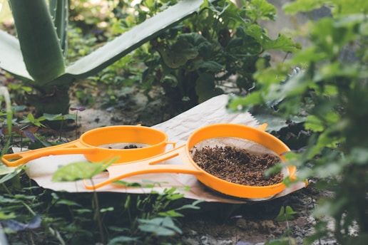 orange and white framed eyeglasses on white paper