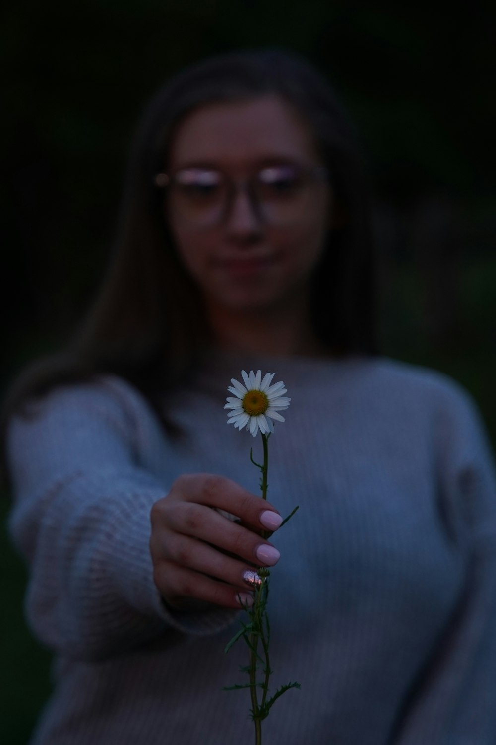 woman in gray sweater holding white daisy flower