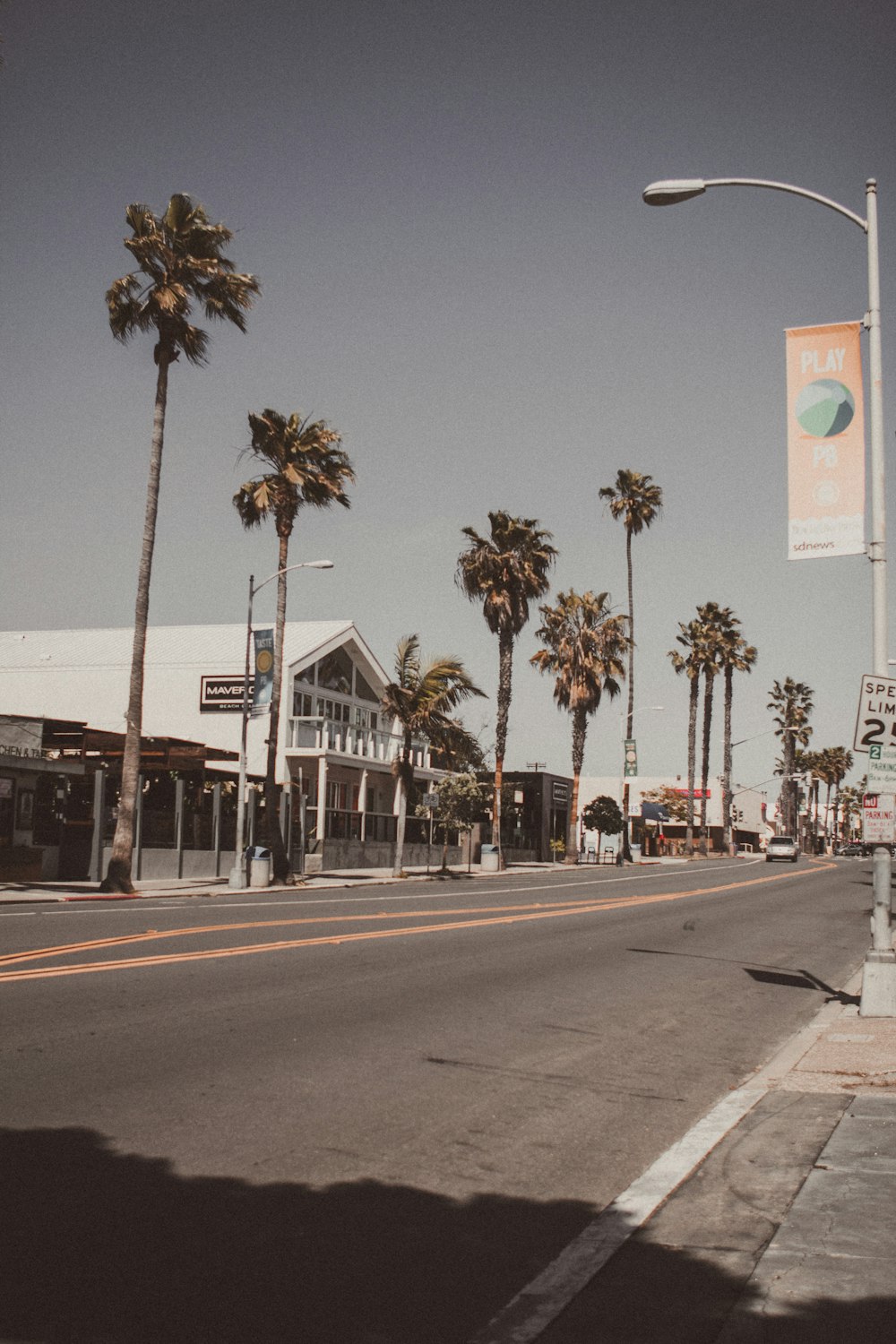 palm trees near road sign during daytime